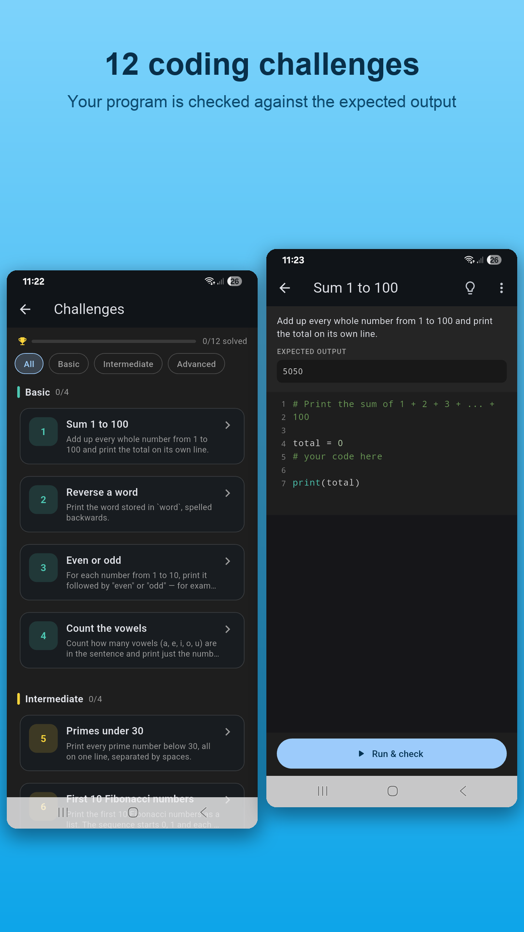 Self-checking Python coding challenges